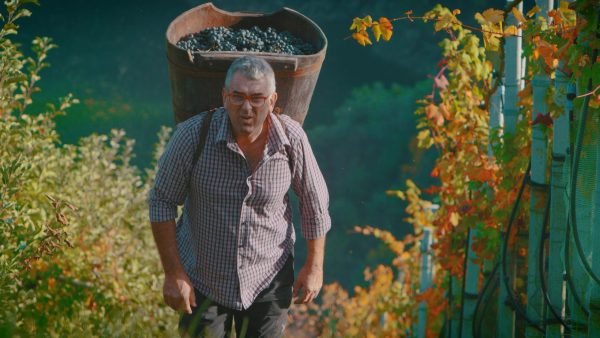 cantine laste rosse groppello di revò