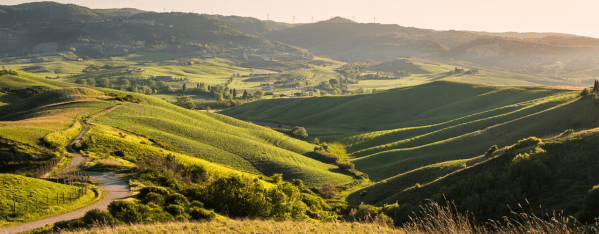 terre di pisa vino