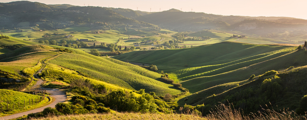 terre di pisa vino