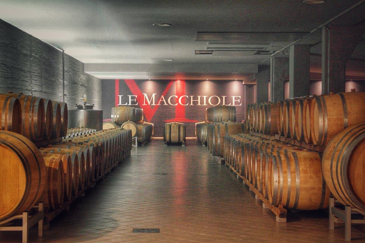le macchiole cantina bolgheri