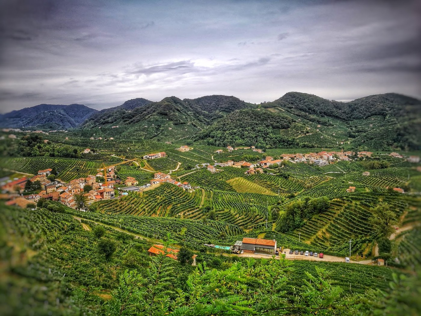 Prosecco Docg vigne eroiche