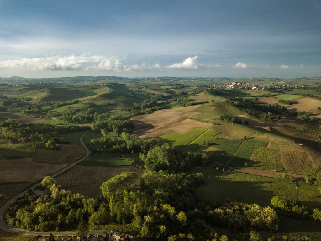areale ruchè cantine