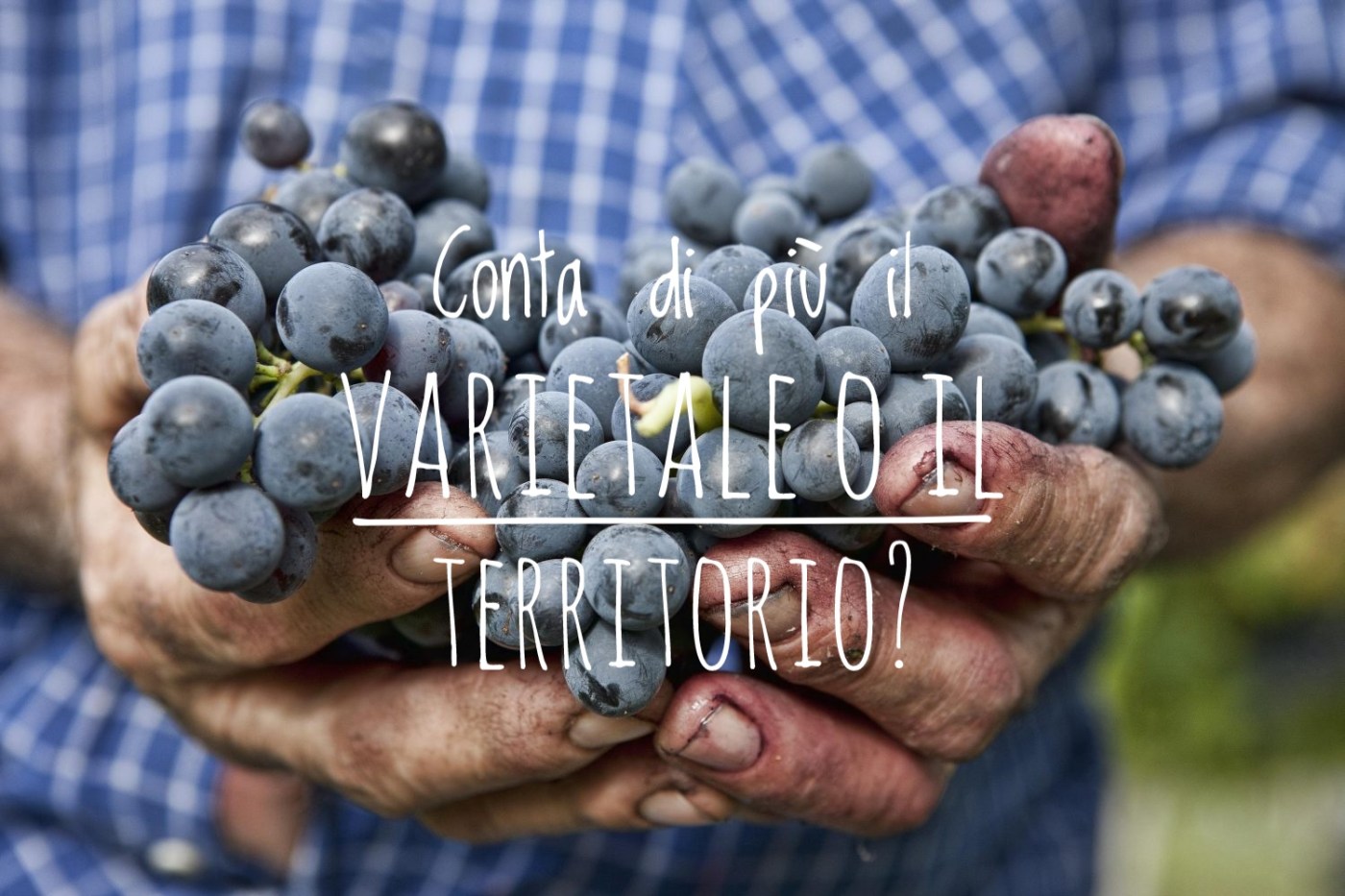nomi vitigni autoctoni tipici italiani