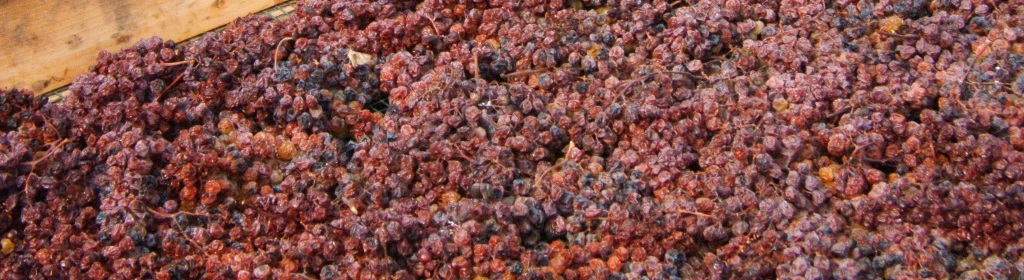 Brachetto passito 