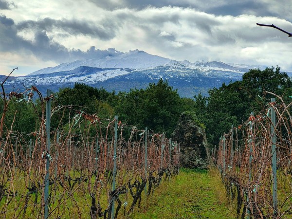 Etna Vini