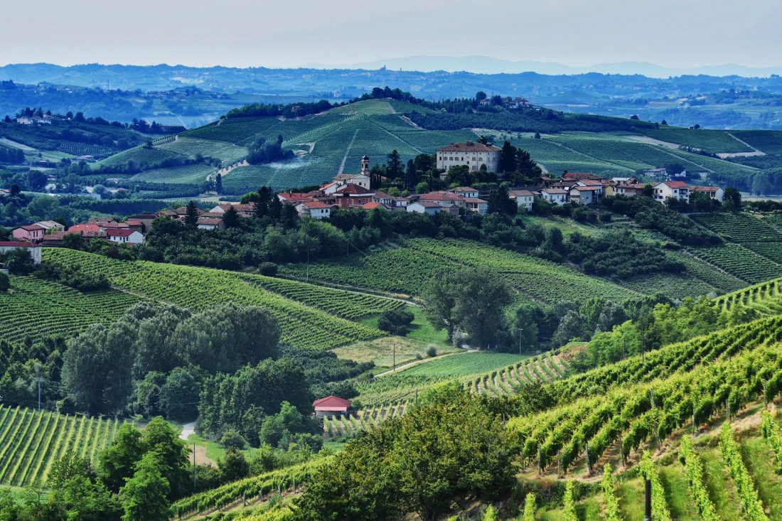 moscato asti docg vigne areale