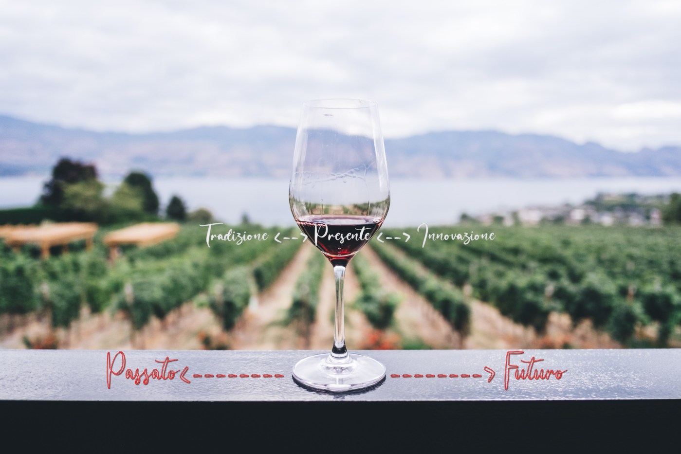 vino passato futuro tradizione innovazione