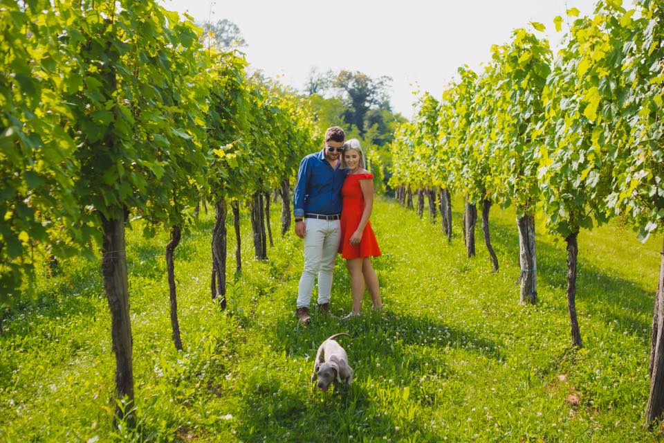 vigna lenuzza cantina