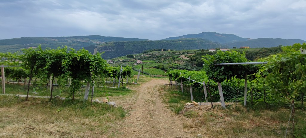 fumane valle valpolicella classica