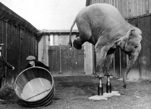 equilibrio vino
