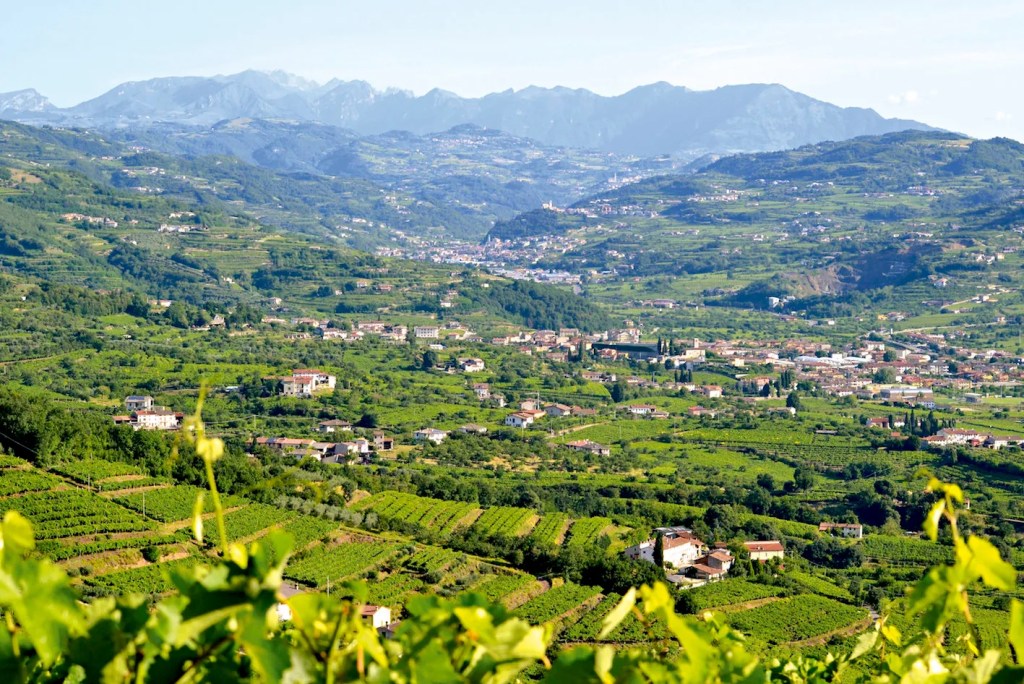 monti lessini durello spumante