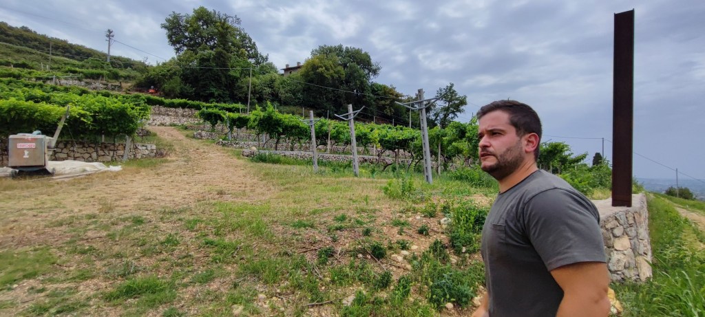 paolo creazzi vignaiolo fivi