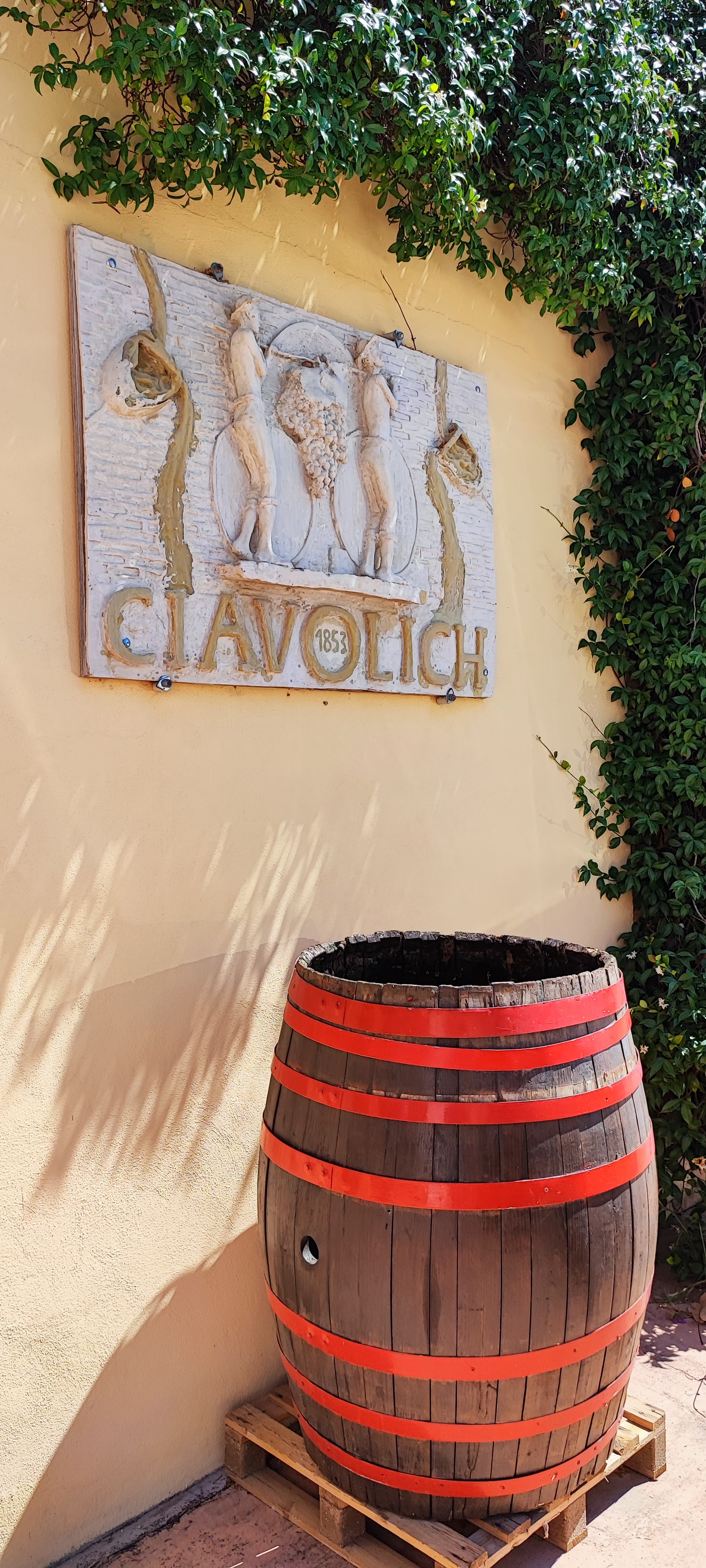ciavolich cantina