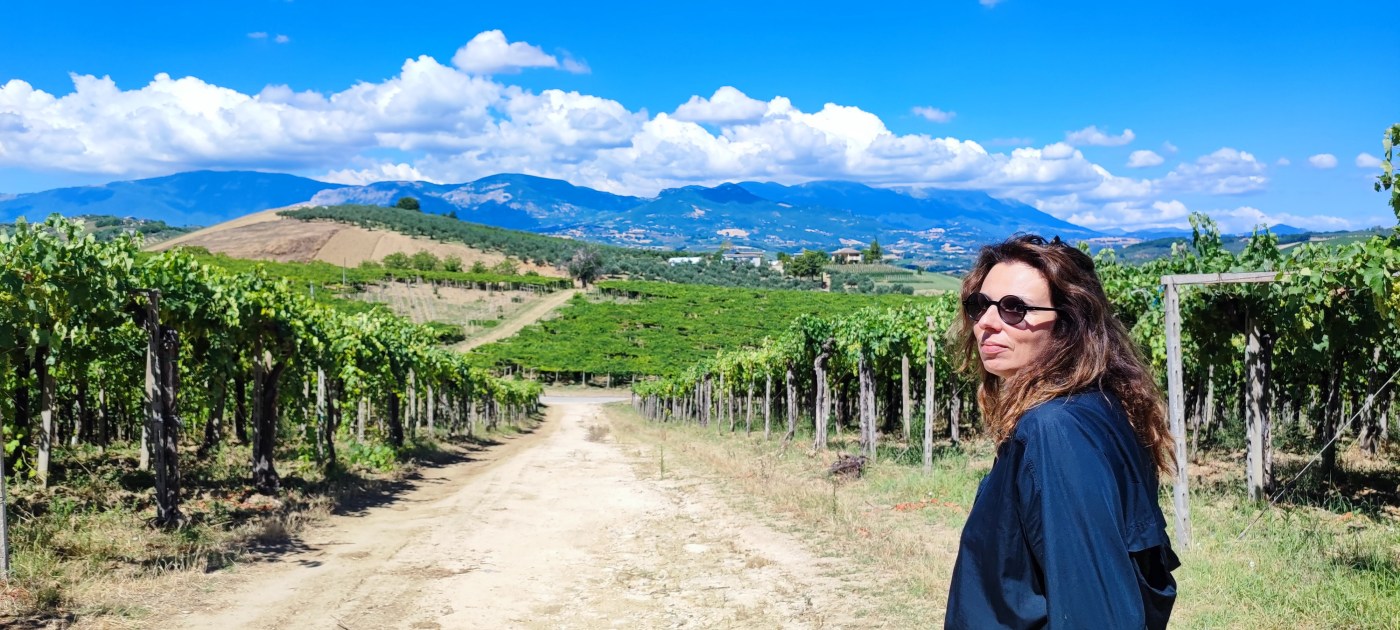 ciavolich vini chiara