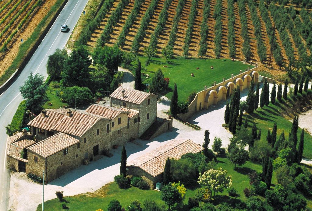 vigneti patrizia cencioni montalcino