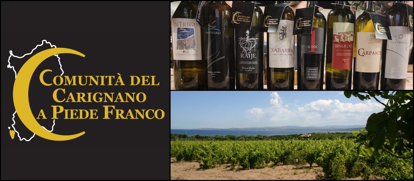 carignano sulcis piede franco