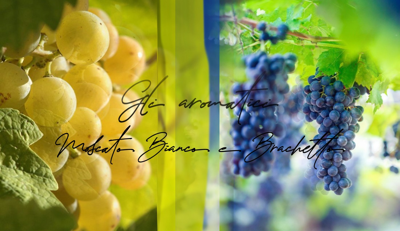 moscato e brachetto