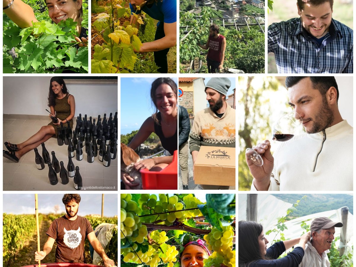 migliori giovani vignaioli itlaiani