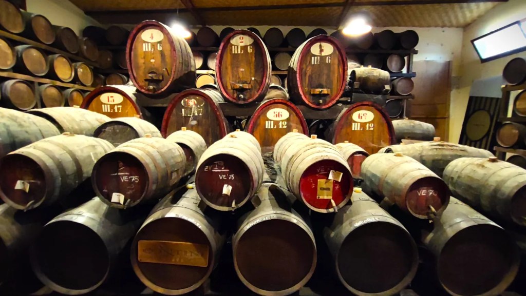 vernaccia oristano vino ossidativo