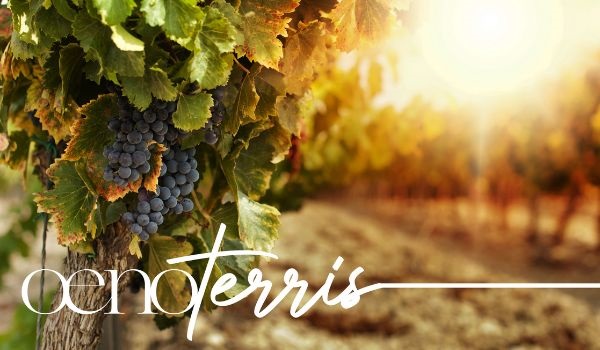 trattamenti vigna bio