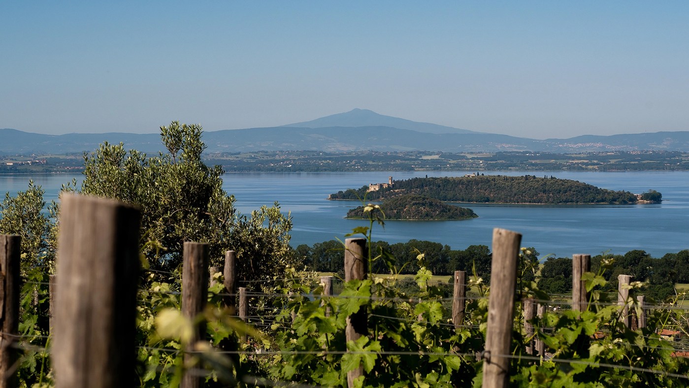 cantina george lucas umbria