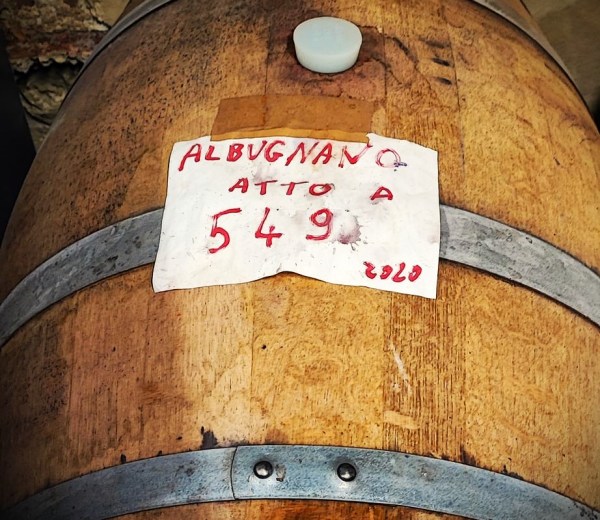 albugnano 549 vini associazione nebbiolo