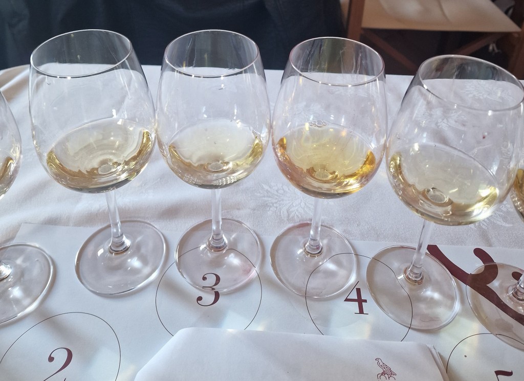 grechetto vino montefalco