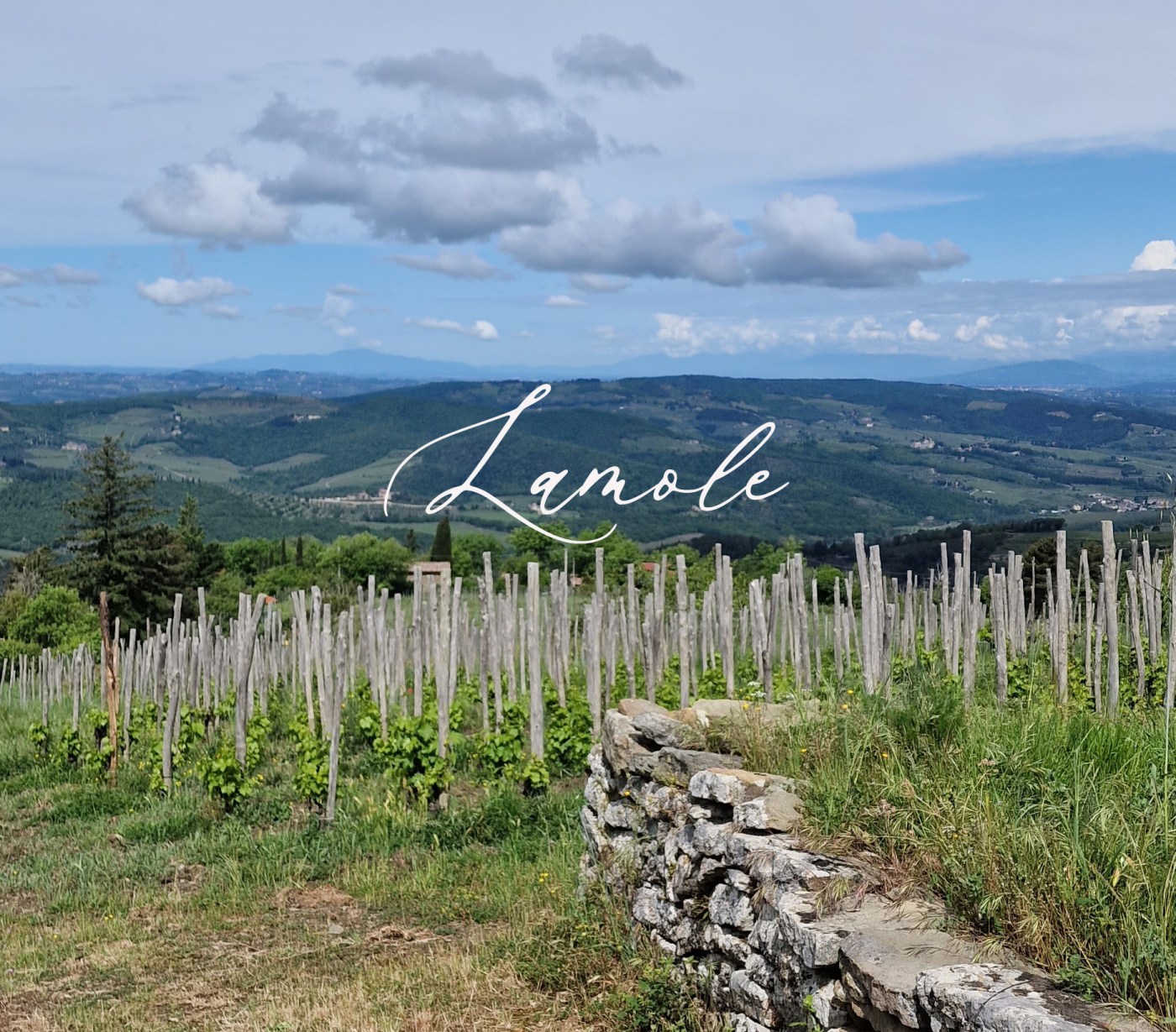 lamole chianti classico