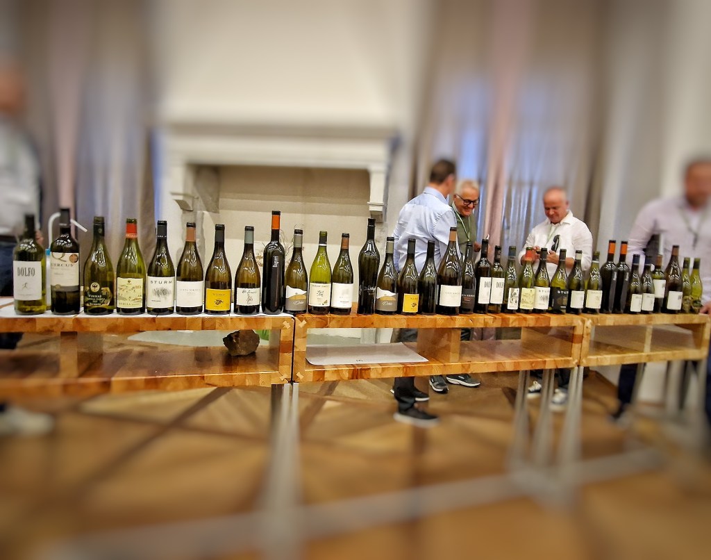 comparativa vino degustazione brda