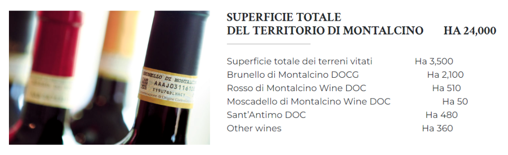 ettari brunello montalcino vigna