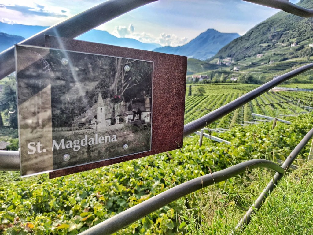santa maddalena vino st. magdalener schiava
