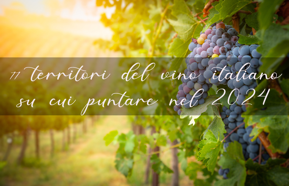 areali vino enografia italia migliori 2024