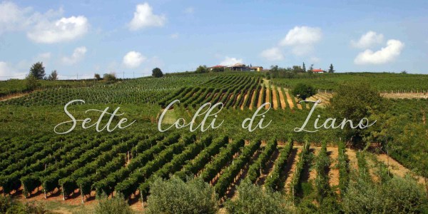 i sette colli di ziano piacentino vino