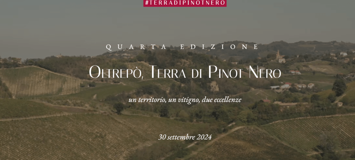 oltrepò terra di pinot nero