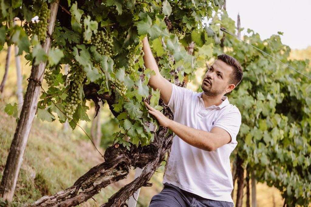 marco balliana ballianei valdobbiadene enologo adami