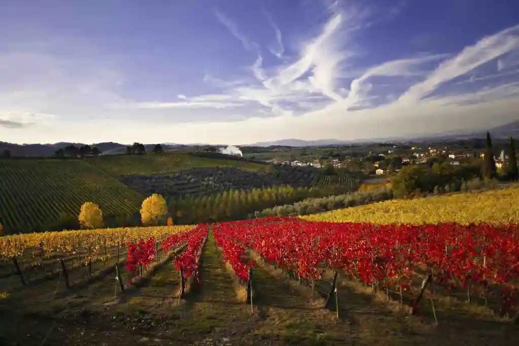 chianti colli fiorentini