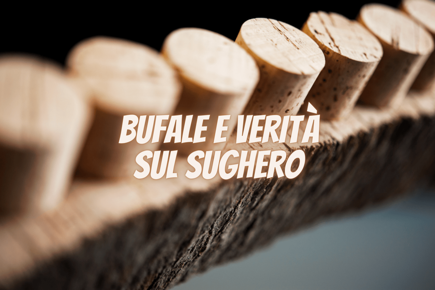 sughero fake news