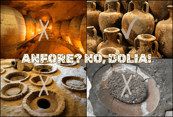 anfore vino dolio dolia lessico