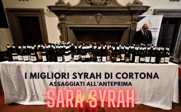 MIGLIORI SYRAH CORTONA ANTEPRIMA