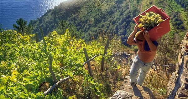 vendemmia 2025 eroica