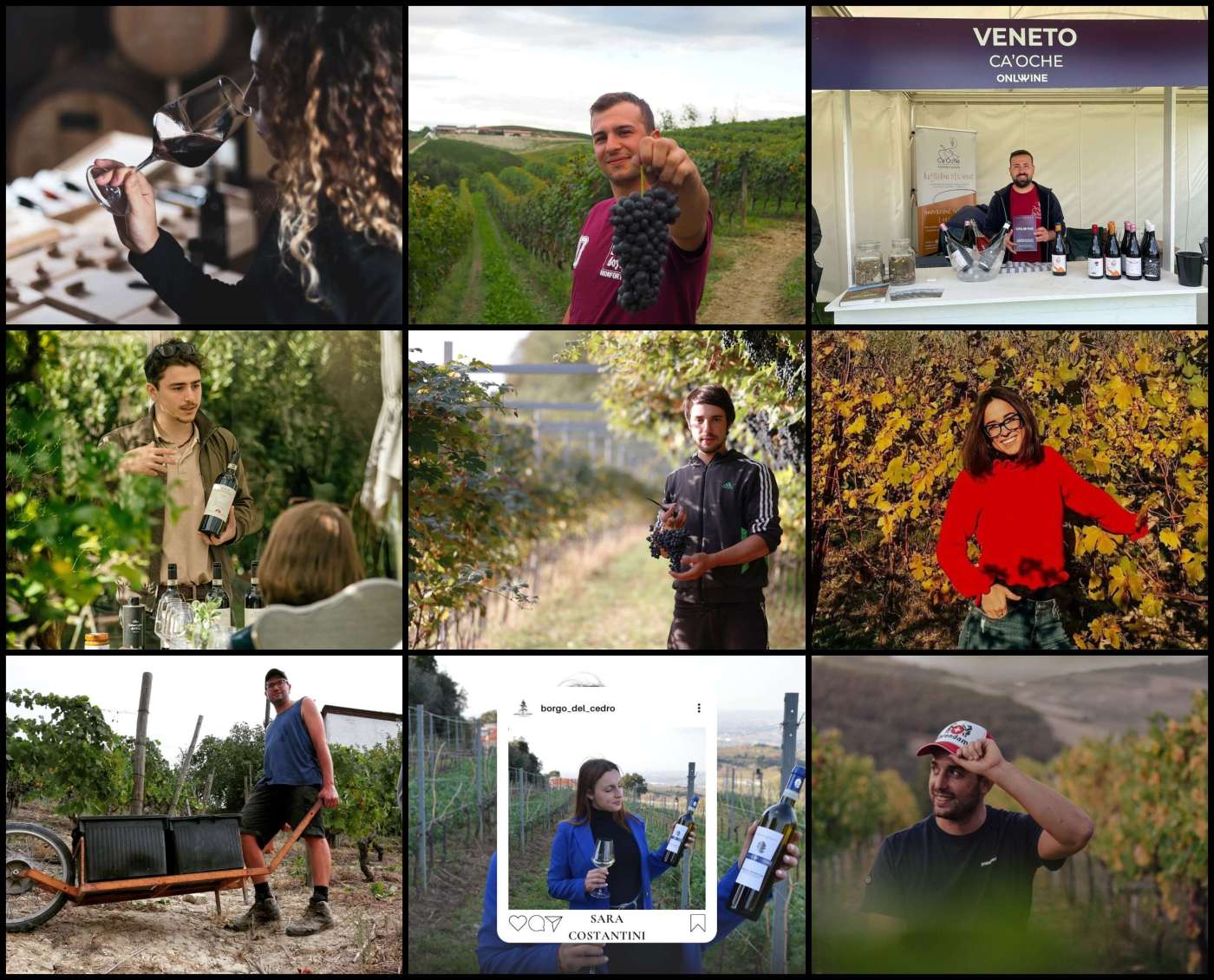 best italian young wine makers under 40
