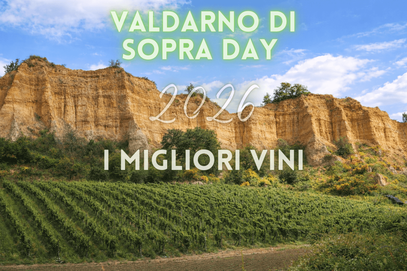 VALDARNO VINI