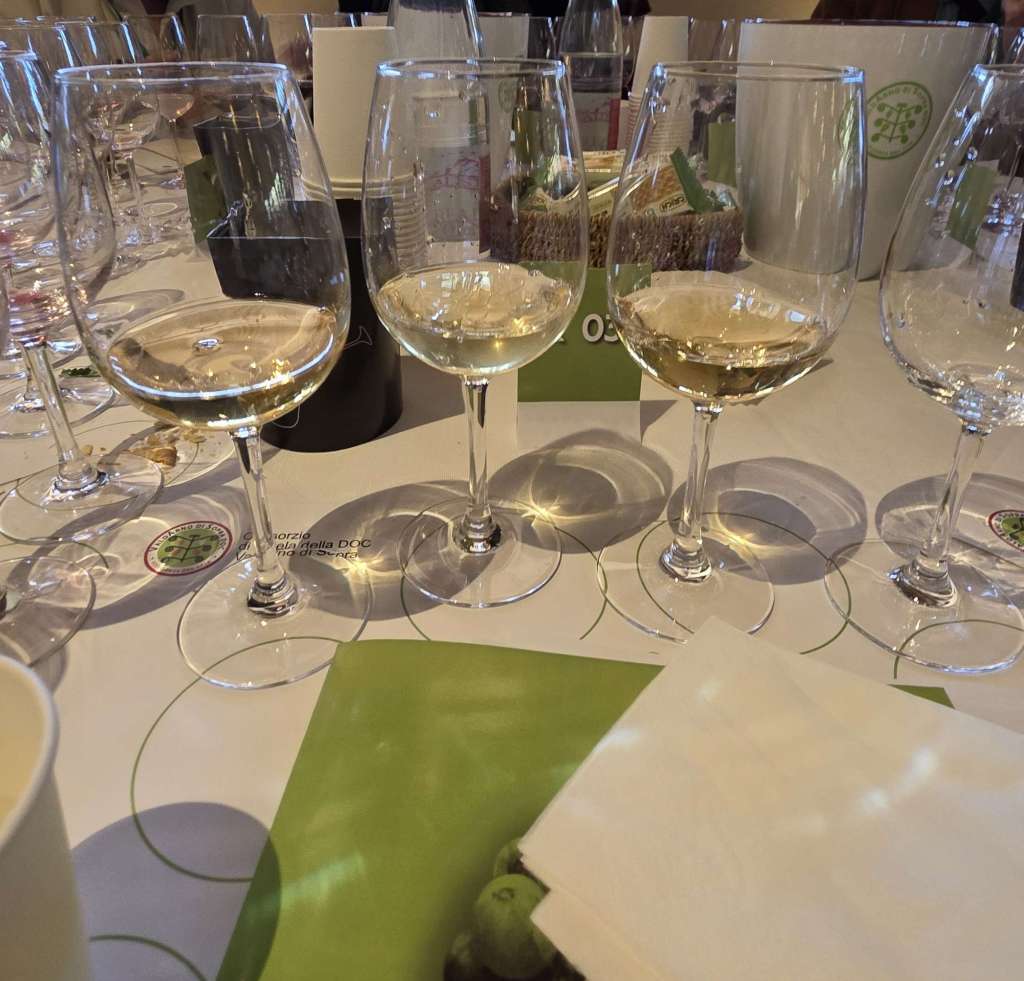 vini bianchi toscani valdarno