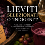 lieviti vino indigeni selezionati