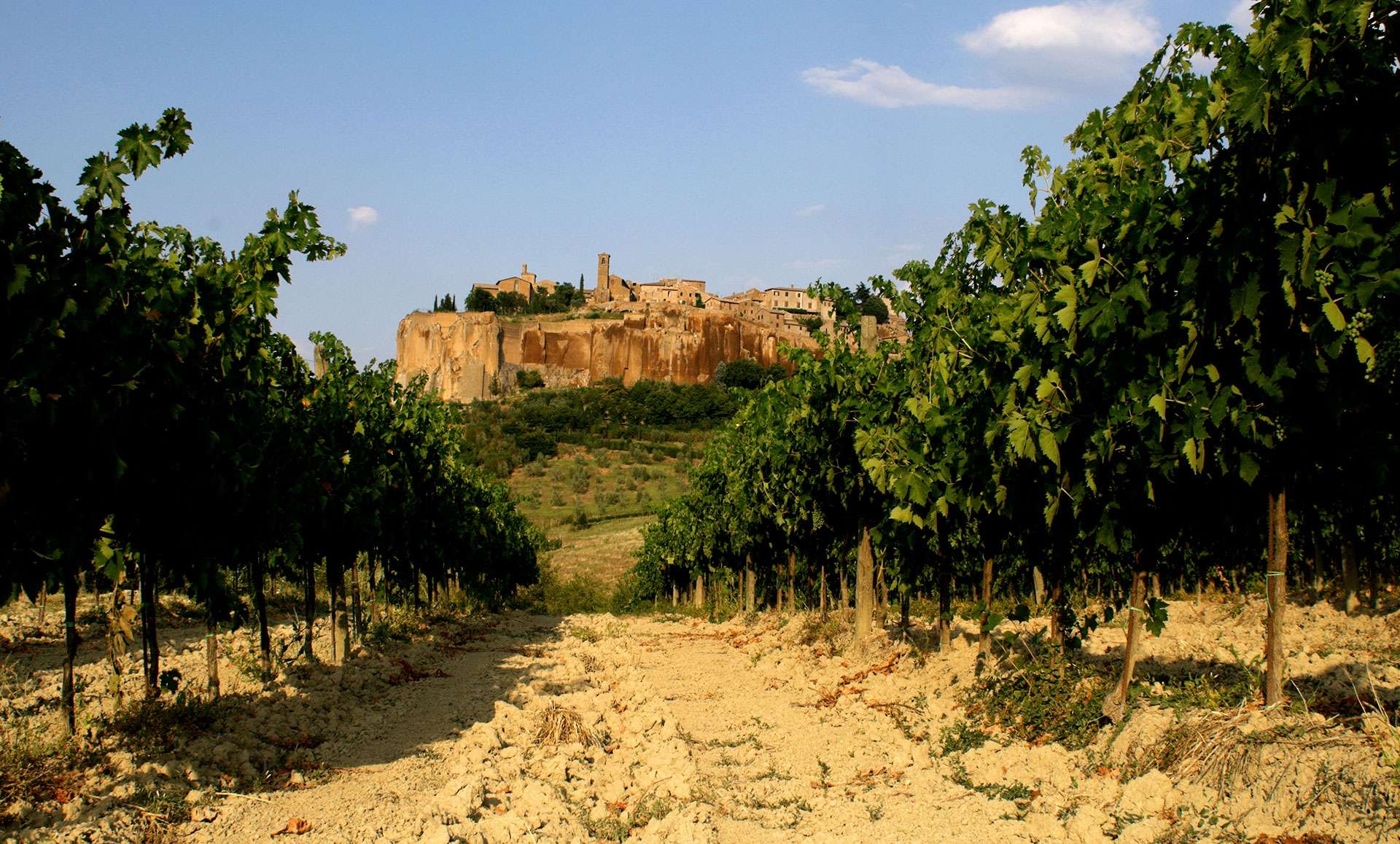 From “low alcohol” to Noble Muffa – The Orvieto DOC looks to the future with awareness, through technical and commercial pragmatism – Wine Blog Roll