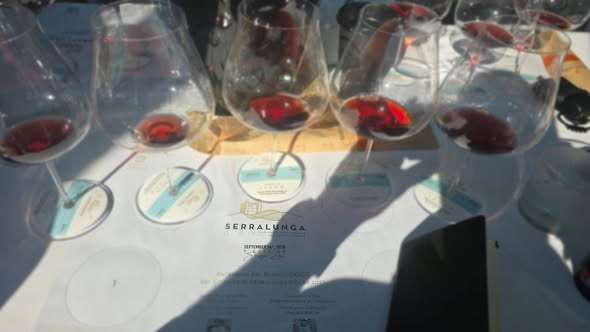 barolo 2023